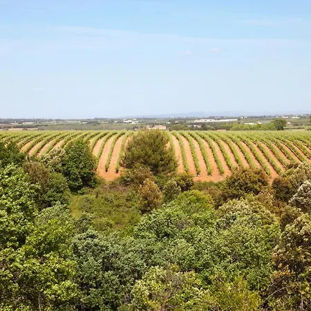 Gasthof Domaine Sainte Colombe *