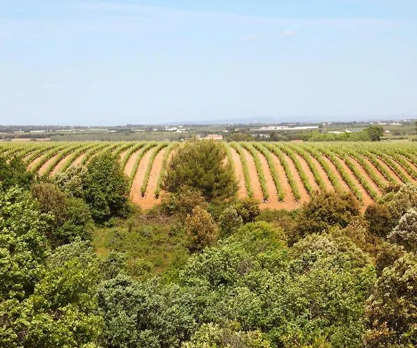 Gasthuis Domaine Sainte Colombe *