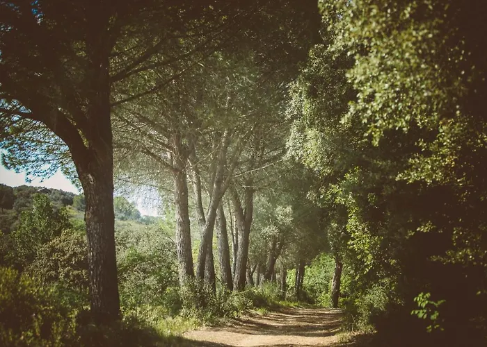 Domaine Sainte Colombe Gasthuis *