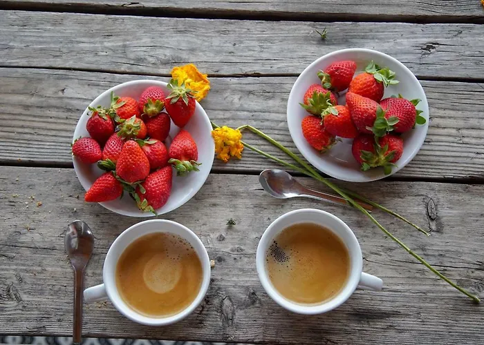 Domaine Sainte Colombe Gasthuis